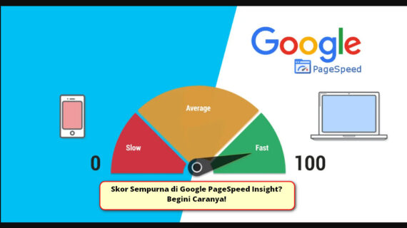 Skor Sempurna di Google PageSpeed Insight? Begini Caranya!